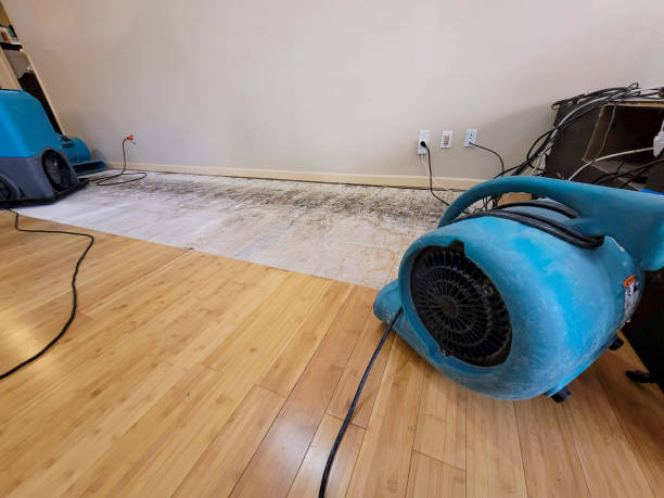 Professional Burst Pipe Water Damage technician working in Oak Grove, MO